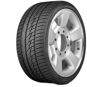 DELINTE 245/45R19 DELINTE DS8 98Y (parduodama TIK kartu su galinėmis 275/40R19)