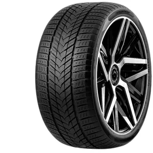 FRONWAY 245/45 R19 102H ICEMASTER II XL