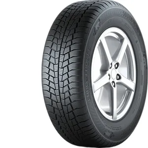 GISLAVED 195/55R15 EURO*FROST 6 85H