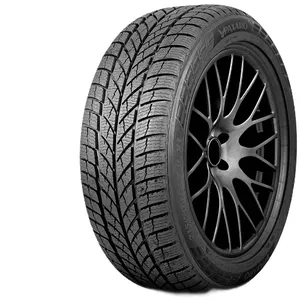 PAXARO 215/50R17 INVERNO 95V XL FR