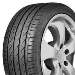 DELINTE 225/55 R18 102W DH2 XL